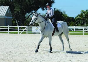 Horse and rider working on rhythm.