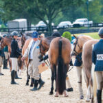 A horse show class of ponies, in which judges may judge ponies based on their weight.