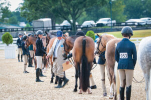 Are Show Judges Favoring Ponies Carrying Extra Weight?