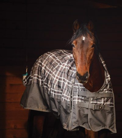 Cleaning a Horse Blanket