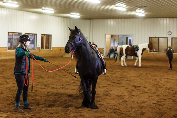 Attending Horse Clinics