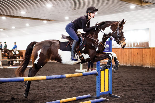 Attending Horse Clinics