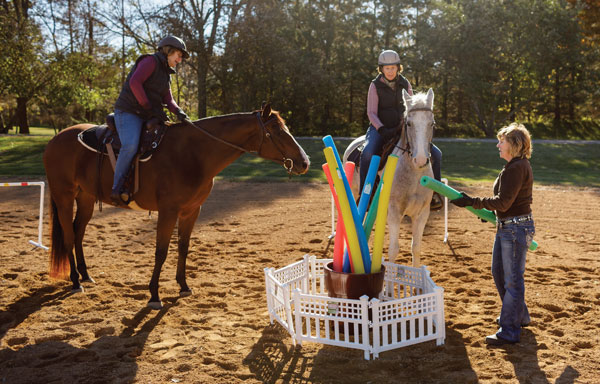Attending Horse Clinics
