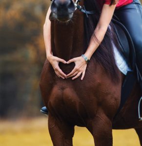 Make Me a Match: Adoption Experts Create the Perfect Horse-Owner Match