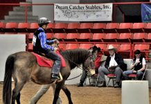 CHA Horse of the Year Smut