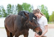 Horse Owners Coronavirus
