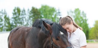 Horse Owners Coronavirus