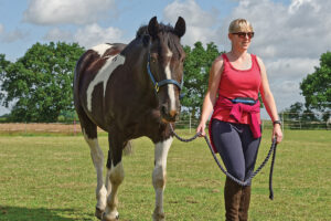 Cellulitis in Horses