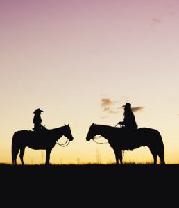 Horses and Divorces: Deciding Who Gets Custody