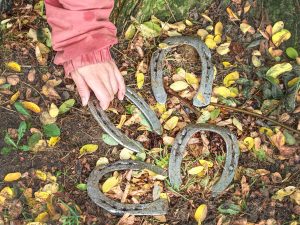 Horseshoes on the Ground