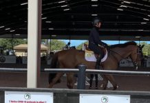 COVID-19 pandemic signs