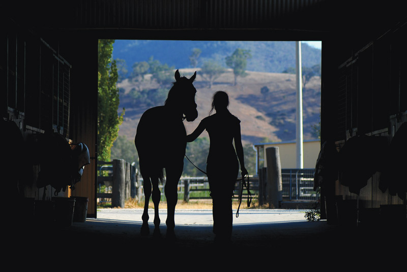 Horse and Woman Silhouette in Barn Aisle