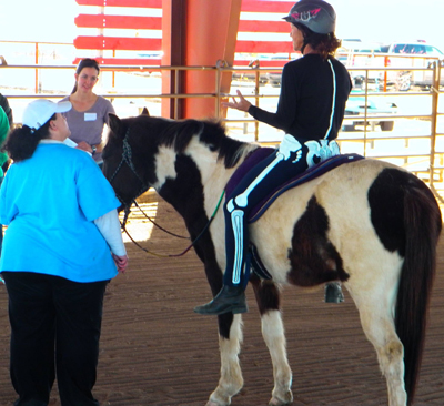 Horse Suitability Webinar