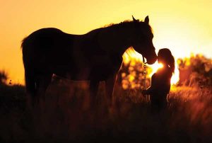 Horse and Girl at Sunset