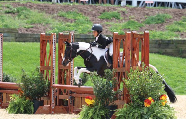 Hunter Show Young Rider