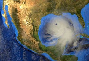 Horse Owners Challenged to Rebound after Hurricane Laura