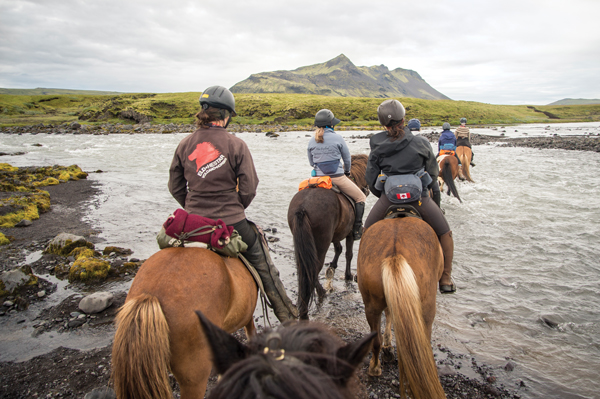 iceland mountain stream and horses
