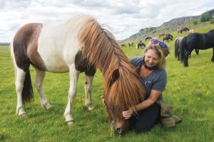 Icelandic Horse Sol with Jill