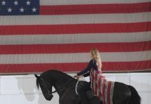 Friesian Show Horse - IFSHA World Show