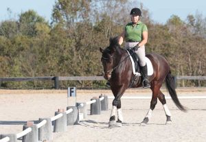 In Front of the Leg: Training a Better Response to the Leg Aid