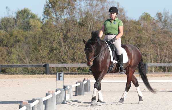 Getting Response to the Leg Aid