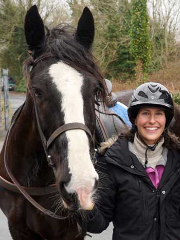 Irish Cob at Coopers Hill Equine in Ireland