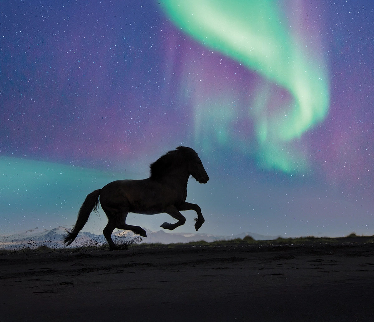 The Editorial Photograph award winner, published in Horse Illustrated.