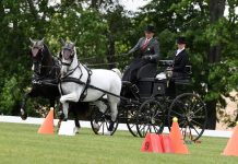 2021 United States E2021 USEF Advanced Pair Horse Combined Driving National Championship