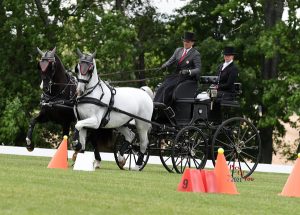 Jacob Arnold Claims USEF Advanced Pair Horse Combined Driving National Championship at Kentucky Classic CDE