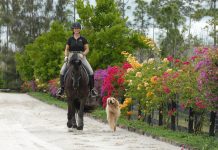 Jane Savoie Dies - Dressage Legend
