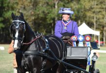 Jennifer Thompson and Funnominial CG