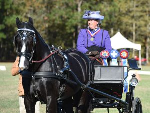 Jennifer Thompson Captures USEF Advanced Single Horse Combined Driving National Championship