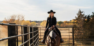 permanent fencing solution