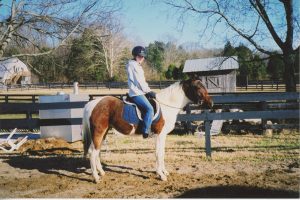 Horse and young rider. 