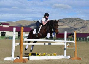 Horse and rider jumping obstacle.