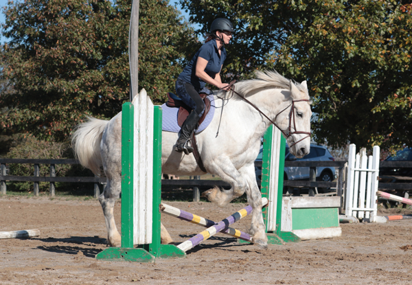 Introduction to Jumping in Horseback Riding