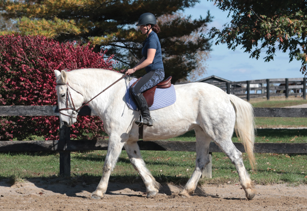 Introduction to Jumping in Horseback Riding