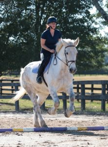 Practicing Jumping with Poles