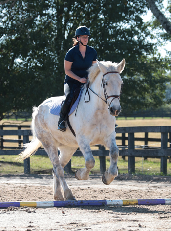 Introduction to Jumping in Horseback Riding