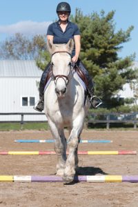 Jumper Going over Poles