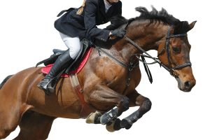 Your Horse Life: Jumping to Conclusions Before a Ride of a Lifetime