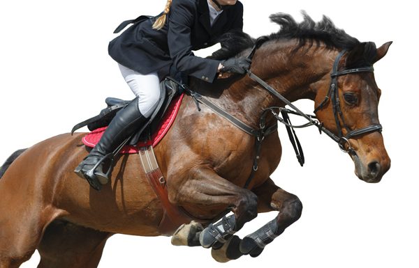 Jumping Ride of a Lifetime