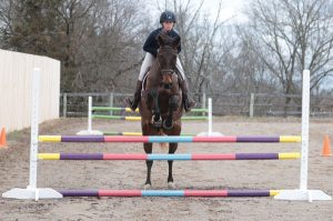 Stride Right for the Perfect Jumping Line on Your Horse
