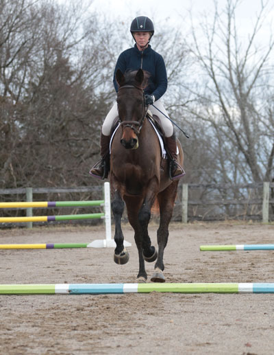 Perfect Jumping Line Using Cavaletti Poles