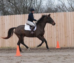 Using Cones in Jumping