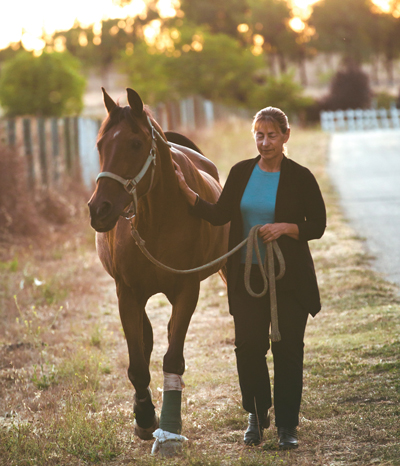Kara Stewart doing walking exercise with a senior horse
