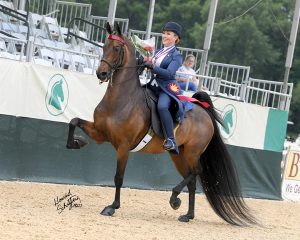 Kendra Wise Crowned 2021 USEF Saddle Seat Adult Amateur Medal Final Champion