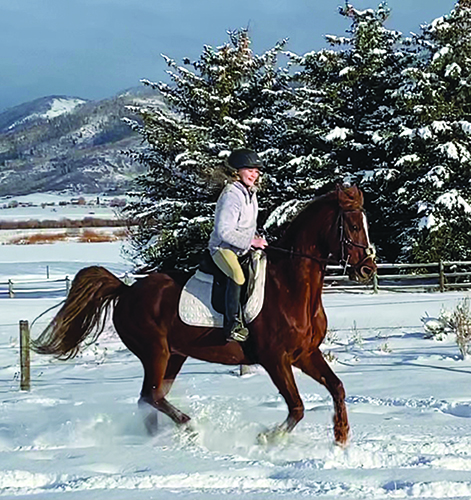 Morgan riding Kevin the saddlebred