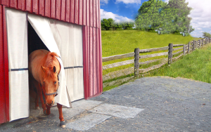 Fly Away: New Fly Products for Summer