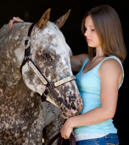 The Dual Recovery of Sunday, the May 2020 Horse Illustrated Cover Model, and Owner Kaia Kroll